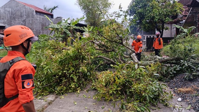 Sumber foto : Detik.com